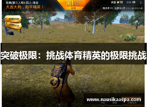 突破极限：挑战体育精英的极限挑战